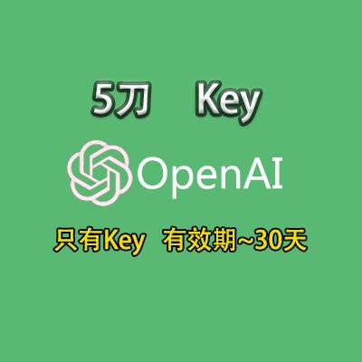 GPT 5美元api key